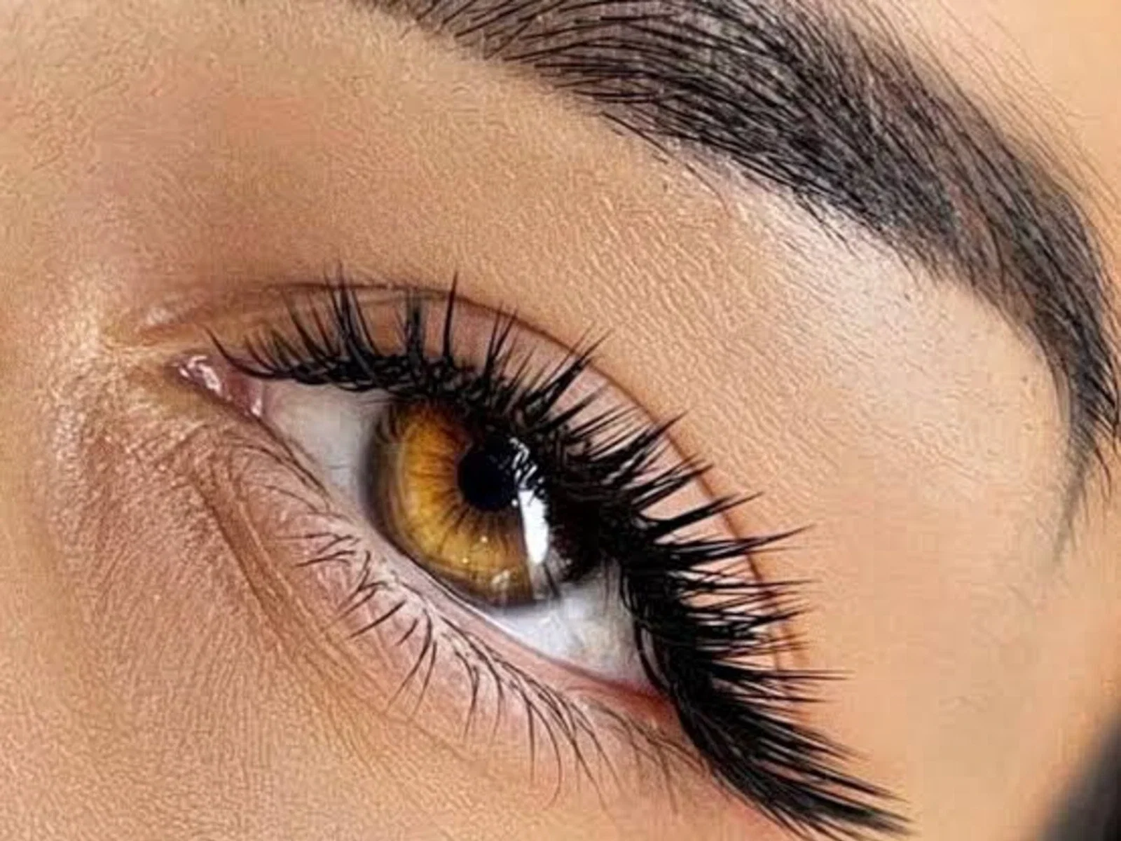 Lashes